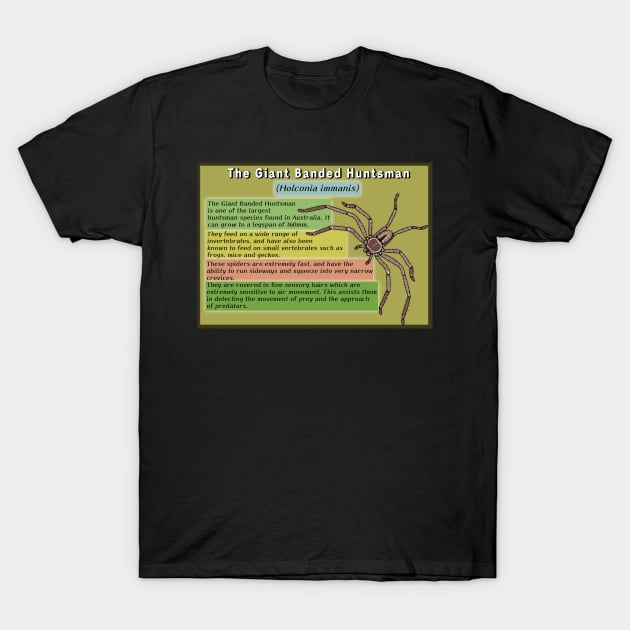 The Giant Banded Huntsman Spider Poster T-Shirt by Artbychb